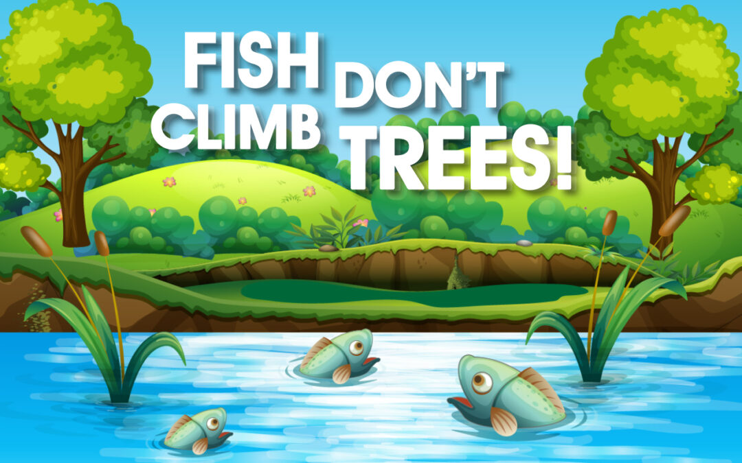 Fish don’t climb trees
